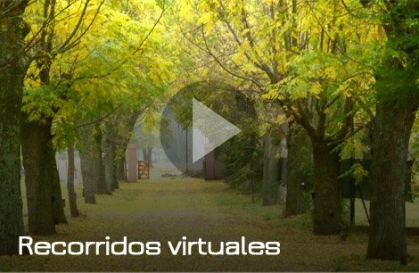 Recorridos virtuales 